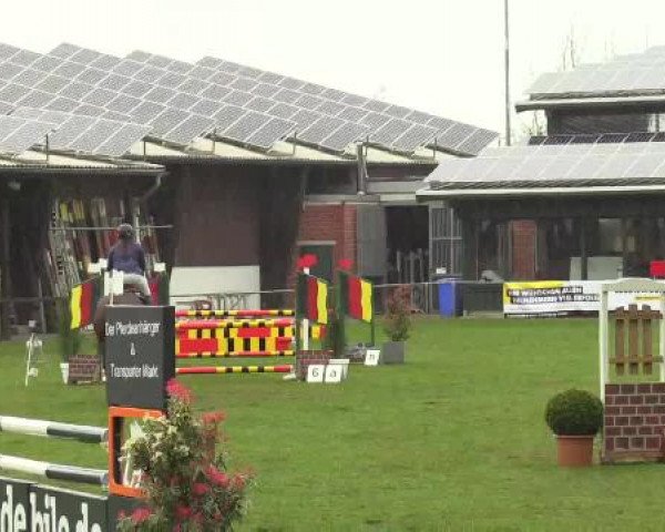 Großes Reit- und Springturnier Heiden 2015