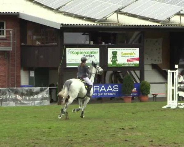 Großes Reit- und Springturnier Heiden 2015
