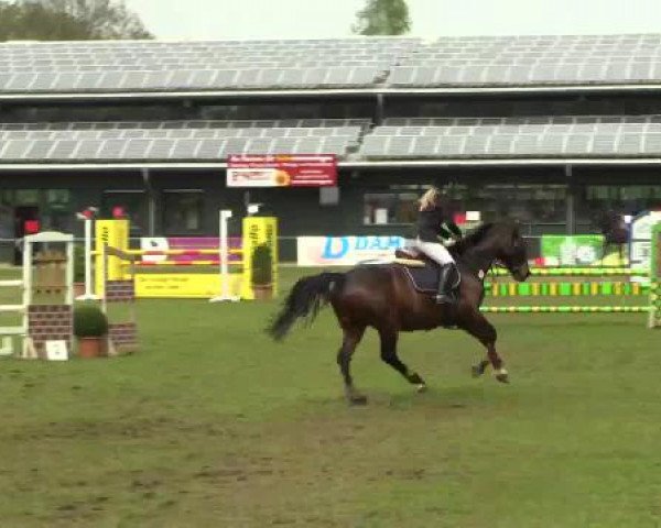 Großes Reit- und Springturnier Heiden 2015