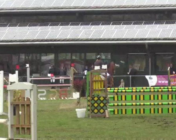 Großes Reit- und Springturnier Heiden 2015