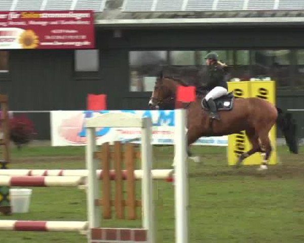 Großes Reit- und Springturnier Heiden 2015