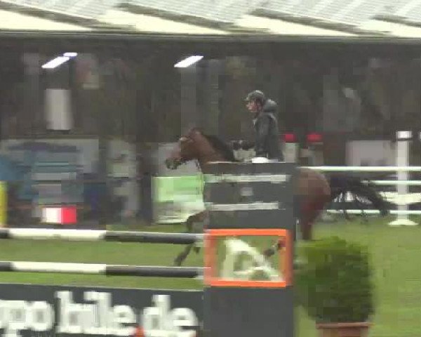 Großes Reit- und Springturnier Heiden 2015