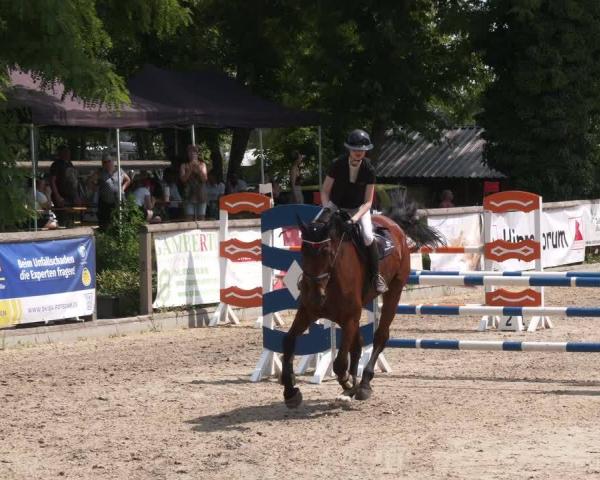 Rideturnering Ruhlsdorf 2026