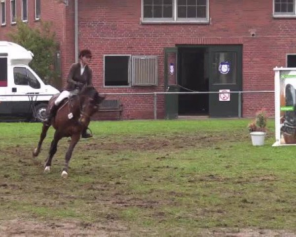 Großes Reit- und Springturnier Heiden 2015