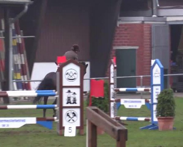 Großes Reit- und Springturnier Heiden 2015