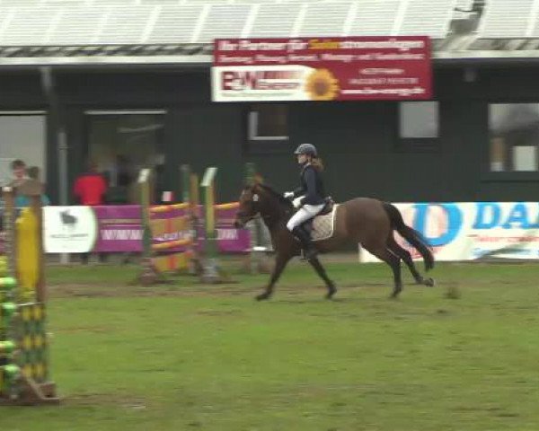 Großes Reit- und Springturnier Heiden 2015