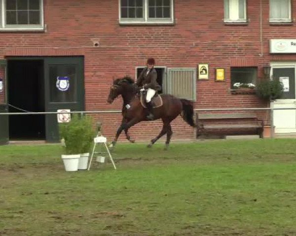 Großes Reit- und Springturnier Heiden 2015