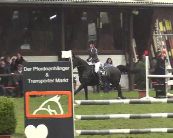 Großes Reit- und Springturnier Heiden 2015