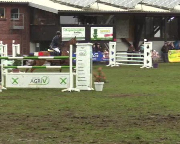 Großes Reit- und Springturnier Heiden 2015