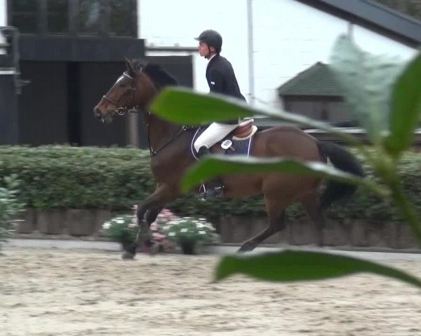 Wipperfürth-Kreuzberg 2015