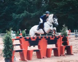 jumper Shamrock 80 (Hanoverian, 2006, from Stakkato)