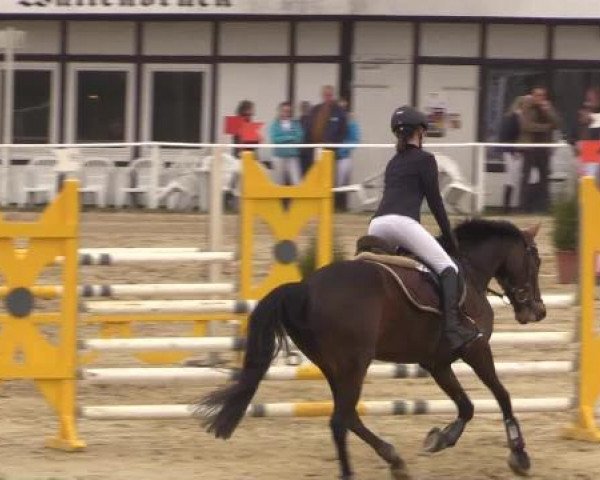 Spenge-Wallenbrück 2015
