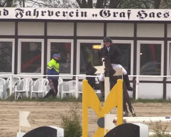 Spenge-Wallenbrück 2015