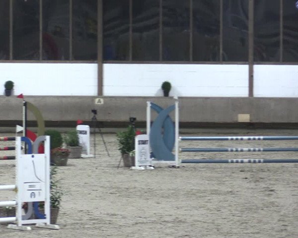 Reitturnier Langenfeld - Gut Langfort 2021