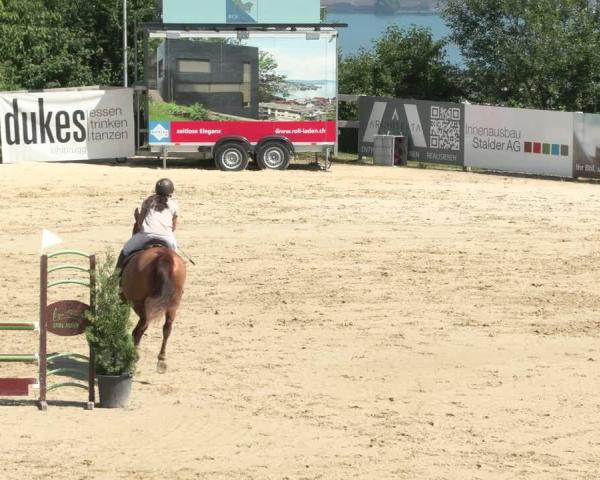 Rideturnering Wädenswil 2026