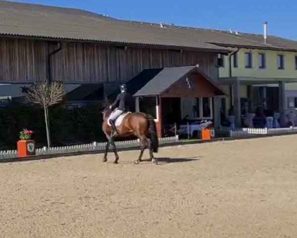 Video of Formidable 60