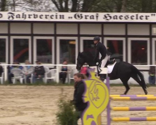 Spenge-Wallenbrück 2015