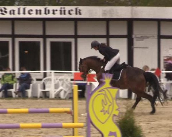 Spenge-Wallenbrück 2015