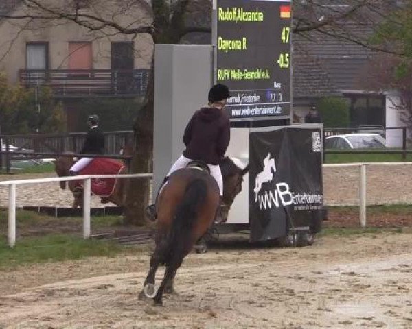 Spenge-Wallenbrück 2015