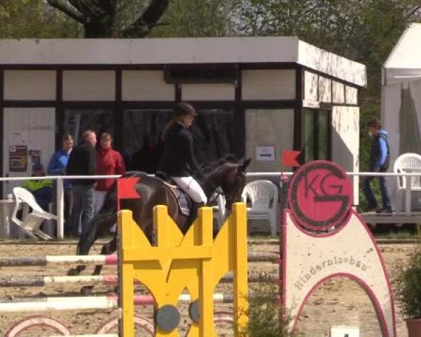 Spenge-Wallenbrück 2015