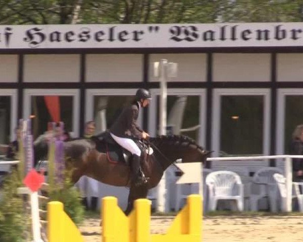 Spenge-Wallenbrück 2015