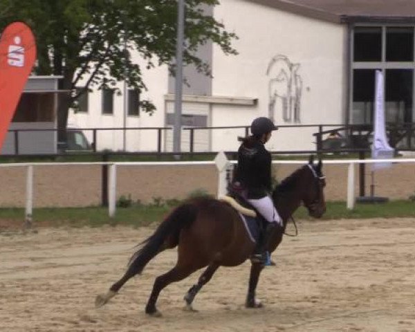 Spenge-Wallenbrück 2015