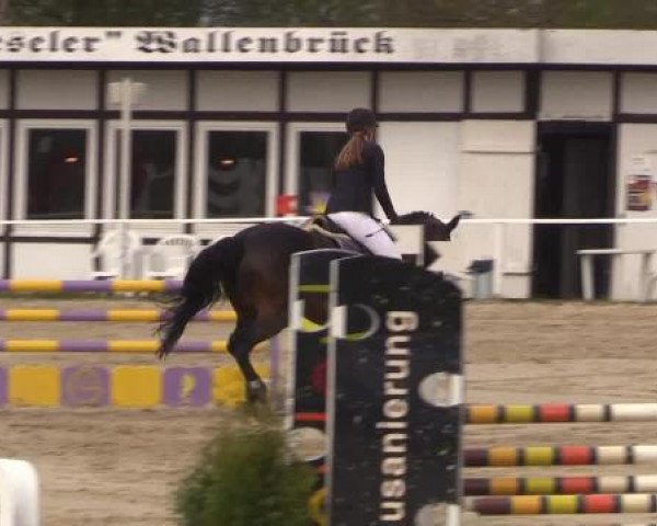 Spenge-Wallenbrück 2015