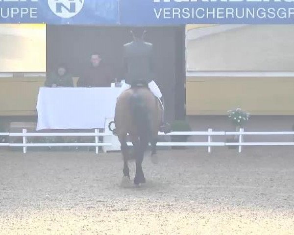 6. Pforzheimer Dressurtage 2015