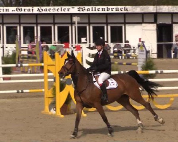 Spenge-Wallenbrück 2015