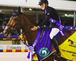 jumper Diamonte Darco (British Sport Horse, 2005, from Unbelievable Darco)