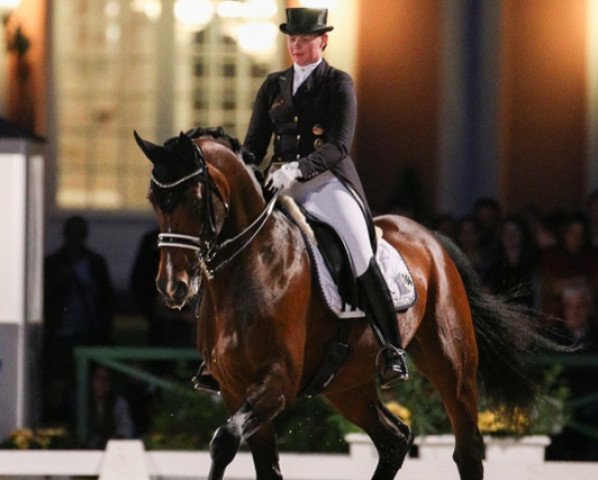 Dressurpferd Fuerstenglanz 3 (Oldenburger, 2006, von Fürstenreich)