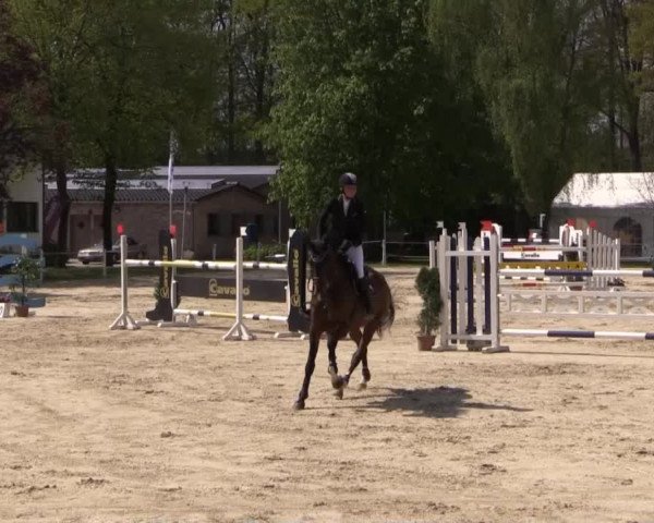 Greven Bockholt 2015