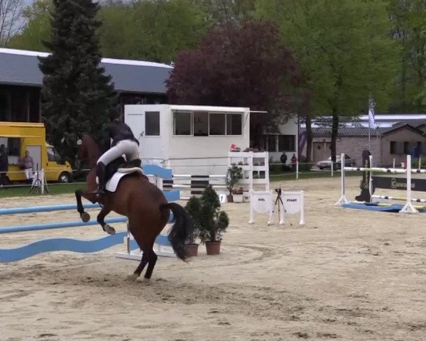 Greven Bockholt 2015