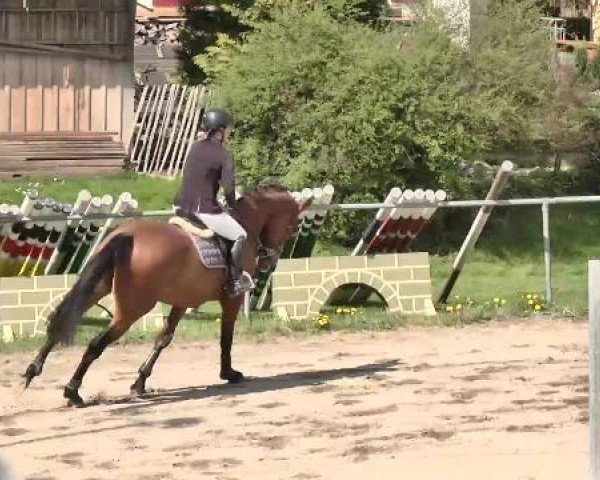 Leutkirch-Diepoldshofen 2015