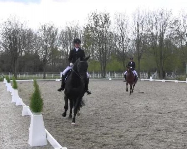 Greven Bockholt 2015