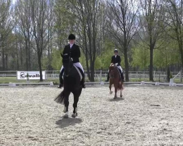 Greven Bockholt 2015