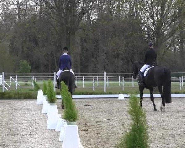 Greven Bockholt 2015