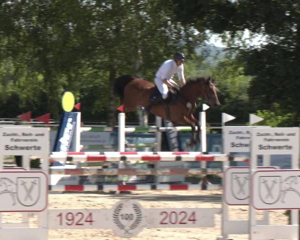 Equestrian Show Schwerte-Gut Kückshausen 2026