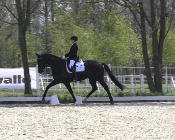 Greven Bockholt 2015