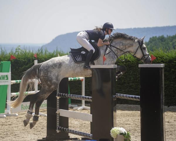 Hingst Corracini Rs (Holsteiner, 2018, fra Corrinaro)