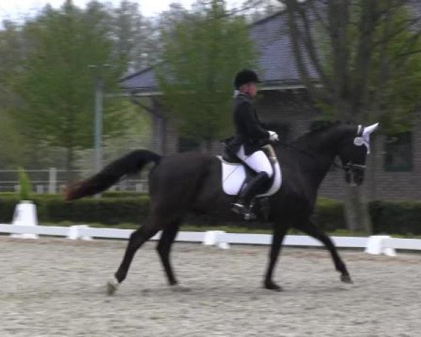 Greven Bockholt 2015