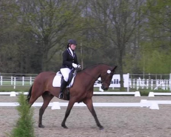 Greven Bockholt 2015