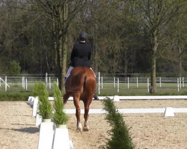 Greven Bockholt 2015