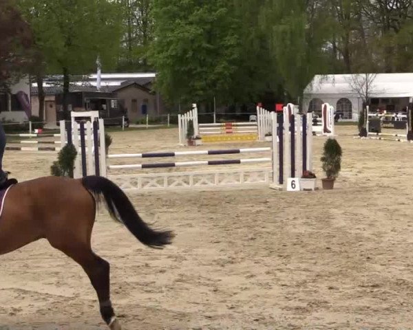 Greven Bockholt 2015
