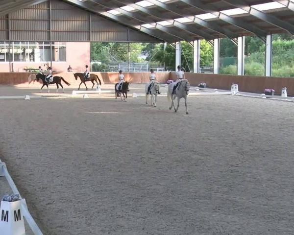 Rideturnering Langenfeld 2026