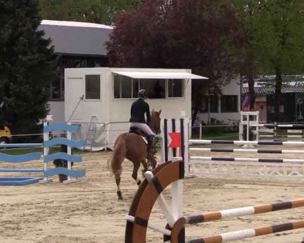 Greven Bockholt 2015