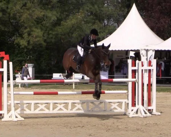 Greven Bockholt 2015