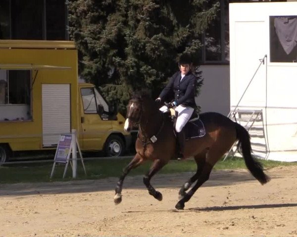 Greven Bockholt 2015