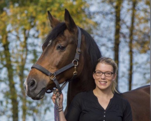 broodmare Chelsea 64 (Westphalian, 2001, from Cordobes I)