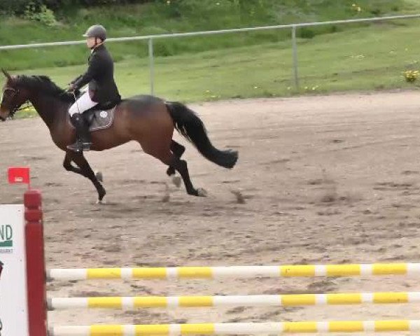 Leutkirch-Diepoldshofen 2015